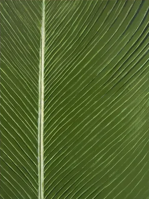 Green Leaf Wall Art Nature-Inspired Canvas Decor #FB033